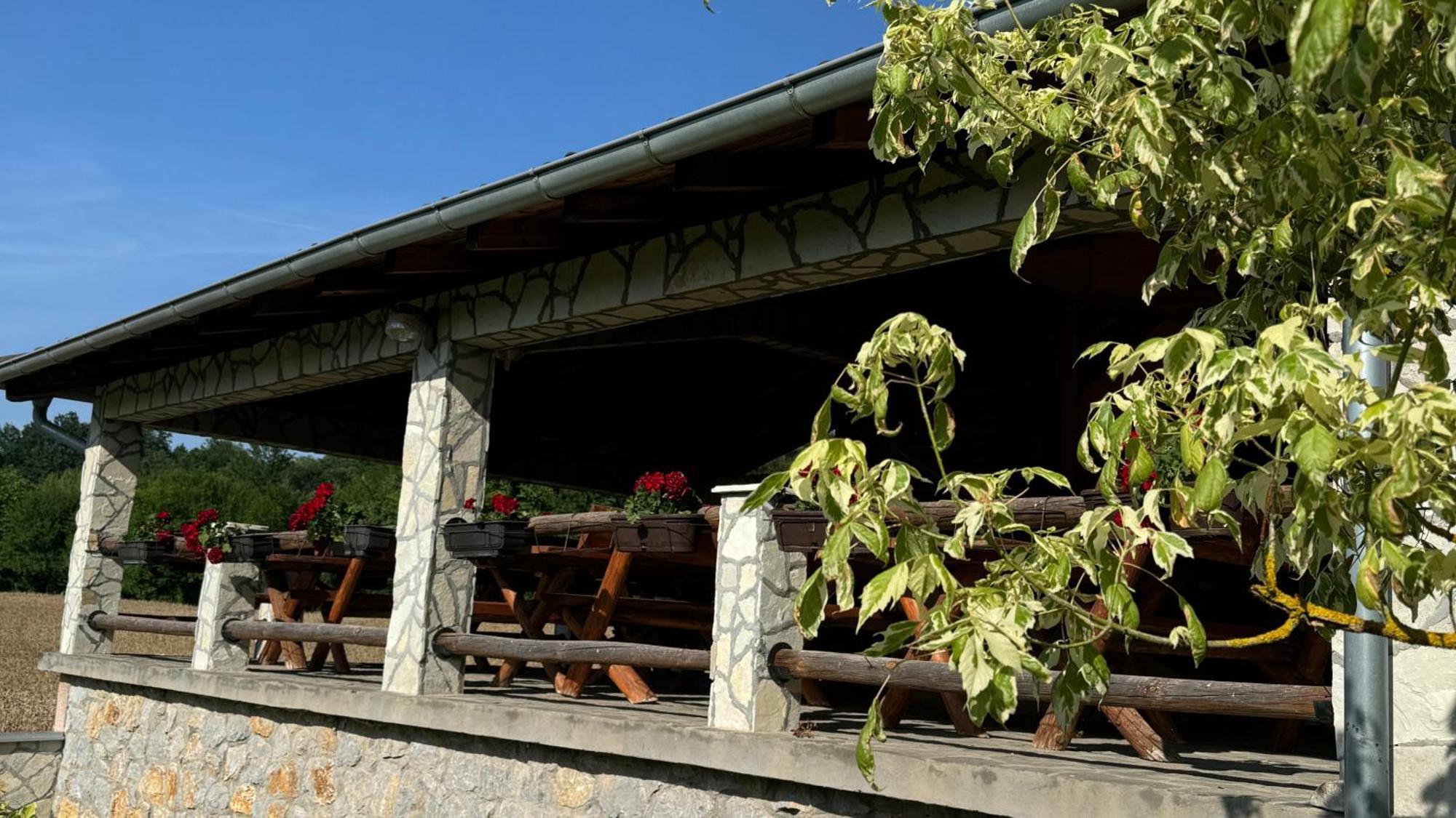 Forest Camp 代斯波托瓦茨 外观 照片